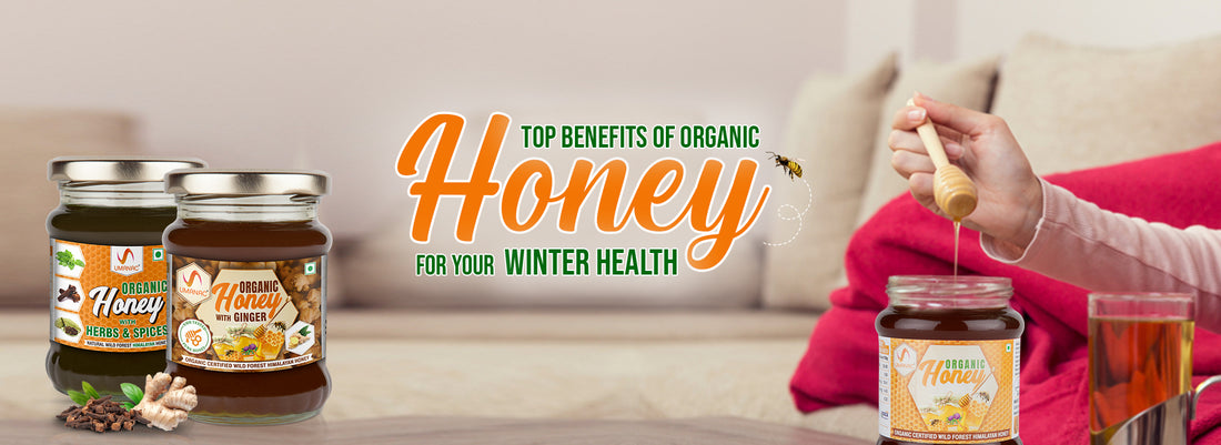 Top Benefits of Organic Honey - Better your Health in the Winters