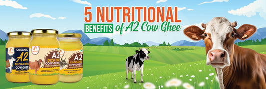 A2 cow ghee benefits